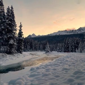 Meet your Posher, Natasha